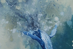 Whale Splash